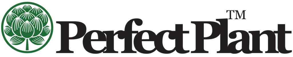 Perfect-Plant-Online-Dispensary